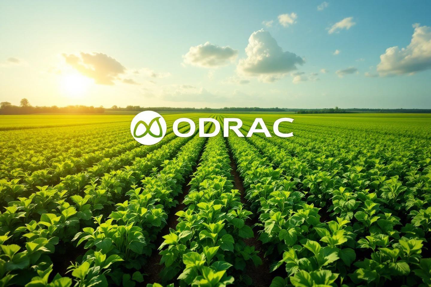 ODRAC : office de développement agricole et rural, contacts et informations